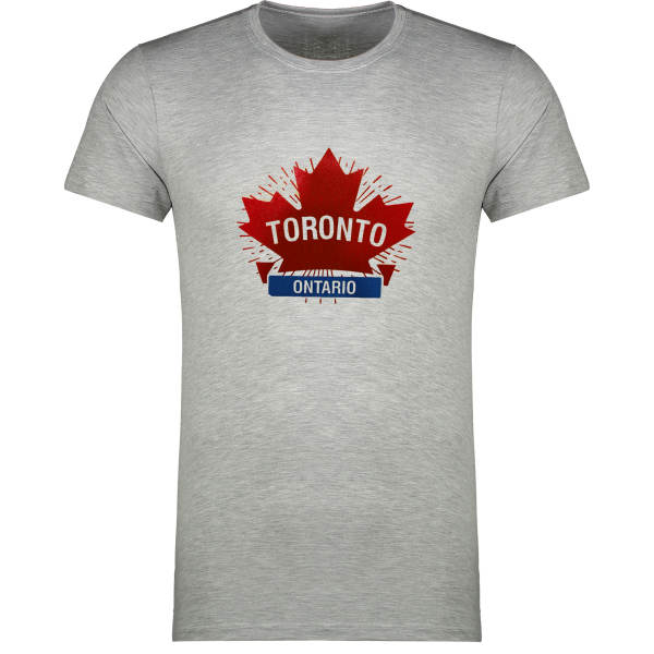 تی شرت آستین کوتاه مردانه مدل T53 تی شرت آستین کوتاه مردانه مدل T53