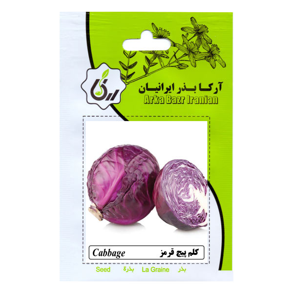 بذر کلم پیچ قرمز آرکا بذر ایرانیان کد ARK-152 بذر کلم پیچ قرمز آرکا بذر ایرانیان کد ARK-152