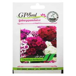 بذر گل قرنفل الوان گلبرگ پامچال کد GPF-066