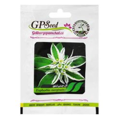 بذر گل گل چینی ابلق گلبرگ پامچال کد GPF-073