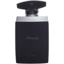 ادو پرفیوم مردانه ماریاژ مدل Ebony حجم 100 میلی لیتر