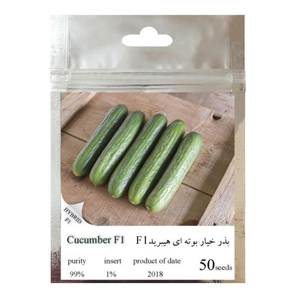 بذر خیار بوته ای هیبرید کد 111 بذر خیار بوته ای هیبرید کد 111