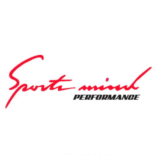 برچسب بدنه خودرو مدل S379