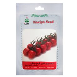 بذر گوجه چری قلبی قرمز درختی آذر سبزینه مدل G23
