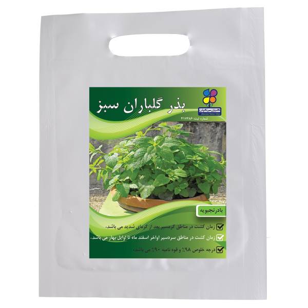 بذر بادرنجبویه گلباران سبز بذر بادرنجبویه گلباران سبز