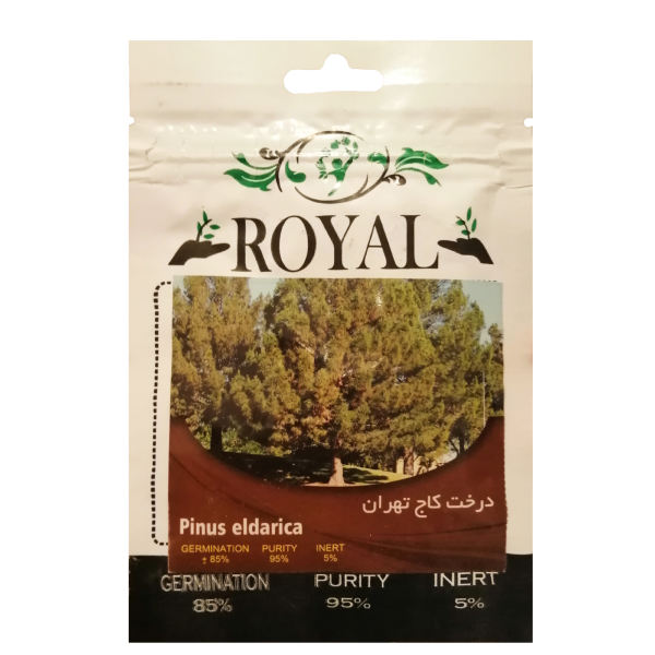 بذر درخت کاج تهران رویال مدل ZR-99 بذر درخت کاج تهران رویال مدل ZR-99