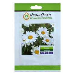 بذر گیاه بابونه بذر طلایی رویان کد BZT-127