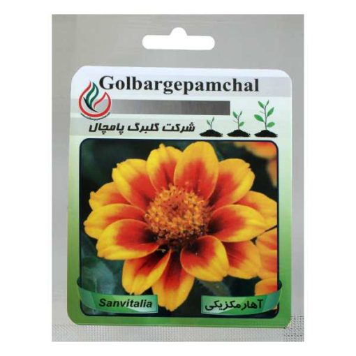 بذر گل آهار مکزیکی گلبرگ پامچال کد GPF-004