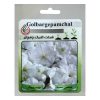 بذر تربچه بذر طلایی رویان کد BZTR-091