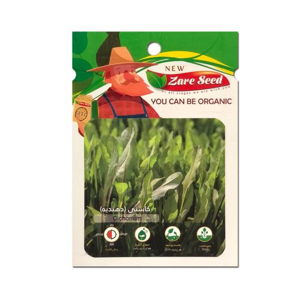بذر کاسنی ( هندبه) پاسارگاد کشت زارع کد zs10 بذر کاسنی ( هندبه) پاسارگاد کشت زارع کد zs10
