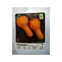 بذر کدو رشتی گرین سید مدل BZG116