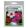 بذر گل نخودی الوان گلبرگ پامچال کد GPF-092
