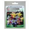 بذر باقلا گلبرگ پامچال کد GPF-104