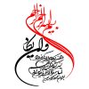 میدرنج خودرو مدل کیو اس YD-120 بسته دو عددی