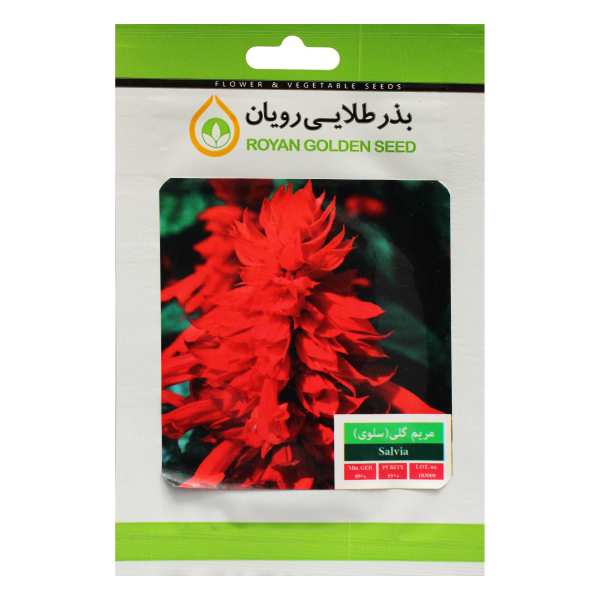 بذر گل مریم گلی بذر طلایی رویان کد BZTR-018 بذر گل مریم گلی بذر طلایی رویان کد BZTR-018