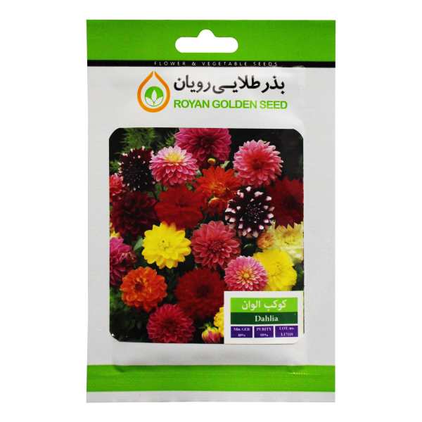بذر گل کوکب الوان بذر طلایی رویان کد BZTR-026 بذر گل کوکب الوان بذر طلایی رویان کد BZTR-026
