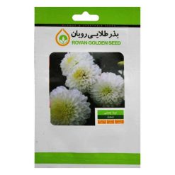 بذر گل مینا چمنی بذر طلایی رویان کد BZTR-034