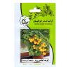 بذر هویج رسمی گرین سید مدل BZG267