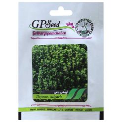 بذر آویشن باغی گلبرگ پامچال کد GPF-213