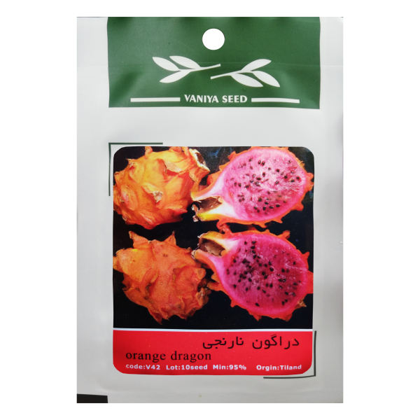 بذر میوه دراگون نارنجی وانیا سید مدل V42 بذر میوه دراگون نارنجی وانیا سید مدل V42