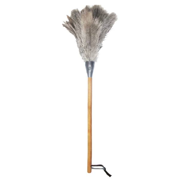 گردگیر آلین مدل Ostrich Feather 2 گردگیر آلین مدل Ostrich Feather 2