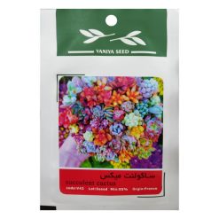 بذر ساکولنت میکس وانیا سید مدل V42