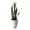 قطره چکان آبیاری روان ریز مدلRR-8N بسته 50 عددی