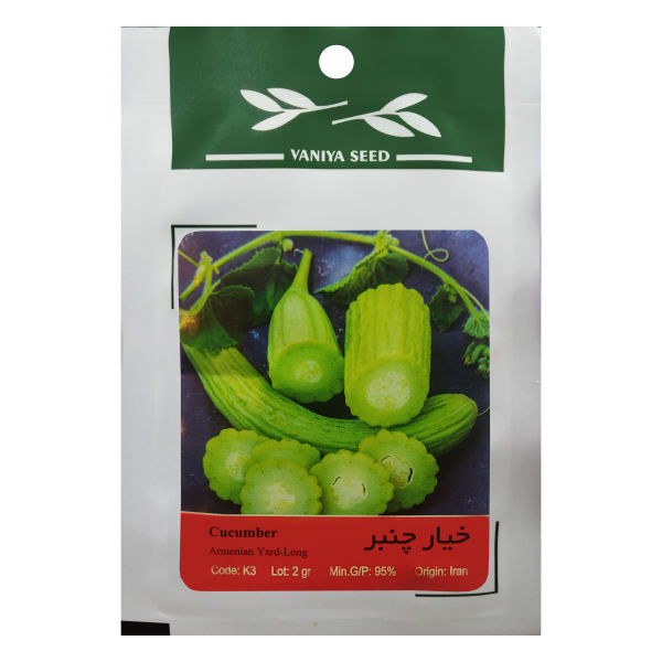 بذر خیار چنبر وانیا سید مدل K3 بذر خیار چنبر وانیا سید مدل K3