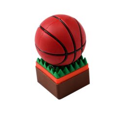 فلش مموری طرح توپ بسکتبال روی چمن مدل DAYA1118 ظرفیت 16 گیگابایت