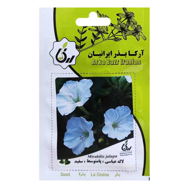 بذر لاله عباسی پامتوسط سفید آرکا بذر ایرانیان کد ARK-048 بذر لاله عباسی پامتوسط سفید آرکا بذر ایرانیان کد ARK-048