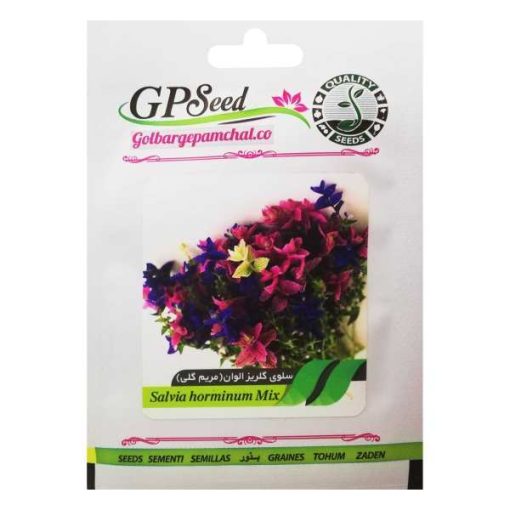 بذر گل مریم گلی گلبرگ پامچال کد GPF-056