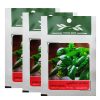بذر گوجه گیلاسی زرد آرکا بذر ایرانیان کد ARK-151 بذر گوجه گیلاسی زرد آرکا بذر ایرانیان کد ARK-151