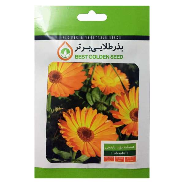 بذر گل همیشه بهار نارنجی بذر طلایی برتر کد BZT-38 بذر گل همیشه بهار نارنجی بذر طلایی برتر کد BZT-38