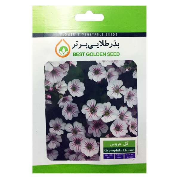 بذر گل عروس بذر طلایی برتر کد BZT-41 بذر گل عروس بذر طلایی برتر کد BZT-41