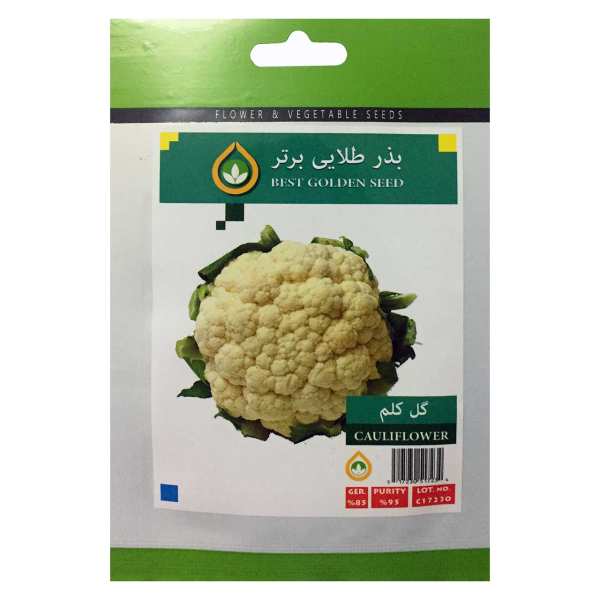 بذر گل کلم بذر طلایی برتر کد BZT-75 بذر گل کلم بذر طلایی برتر کد BZT-75
