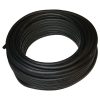 بذر گل داوودی پاسارگاد کشت زارع کد zs156