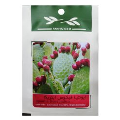 بذر میوه اپونتیا فیکوس اینریکا وانیا سید مدل V44