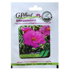 بذر گل ناز آفتابی ارغوانی گلبرگ پامچال کد GPF-274