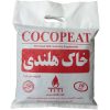 گیاه طبیعی سانسوریا سبز کد qq02