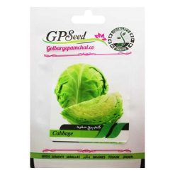 بذر کلم پیچ سفید گلبرگ پامچال کد GPF-126