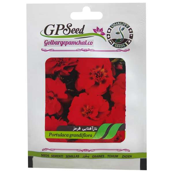 بذر گل ناز آفتابی پاکوتاه قرمز گلبرگ پامچال کد GPF-089 بذر گل ناز آفتابی پاکوتاه قرمز گلبرگ پامچال کد GPF-089