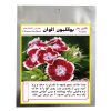 گیاه طبیعی نخل ماداگاسکار مدل P-21 گیاه طبیعی نخل ماداگاسکار مدل P-21