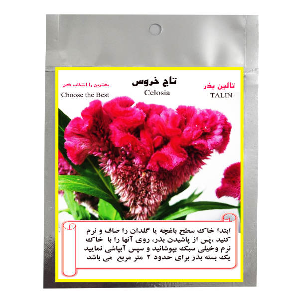 بذر گل تاج خروس تالین بذر مدل BZT-1007 بذر گل تاج خروس تالین بذر مدل BZT-1007