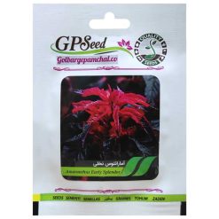 بذر گل آمارانتوس نخلیگلبرگ پامچال کد GPF-276