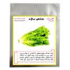 بذر سبزیجات گرین سید مدل GSW10 مجموعه 10 عددی