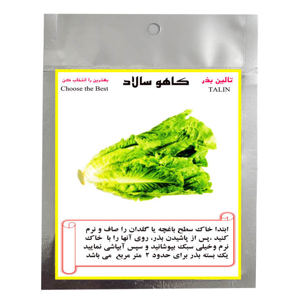 بذر کاهو تالین بذر کد BZT-004 بذر کاهو تالین بذر کد BZT-004
