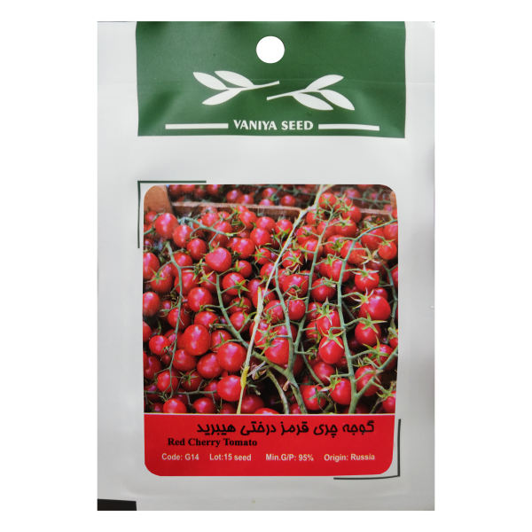 بذر گوجه چری قرمز درختی هیبرید وانیا سید مدل G14 بذر گوجه چری قرمز درختی هیبرید وانیا سید مدل G14