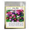 پرلیت دانه درشت 500 گرمی گلباران سبز بسته سه عددی