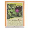 قیچی ورق بر اروین مدل 23007 سایز 7 اینچ