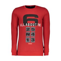 سویشرت مردانه جامه پوش آرا مدل 4561019229-72